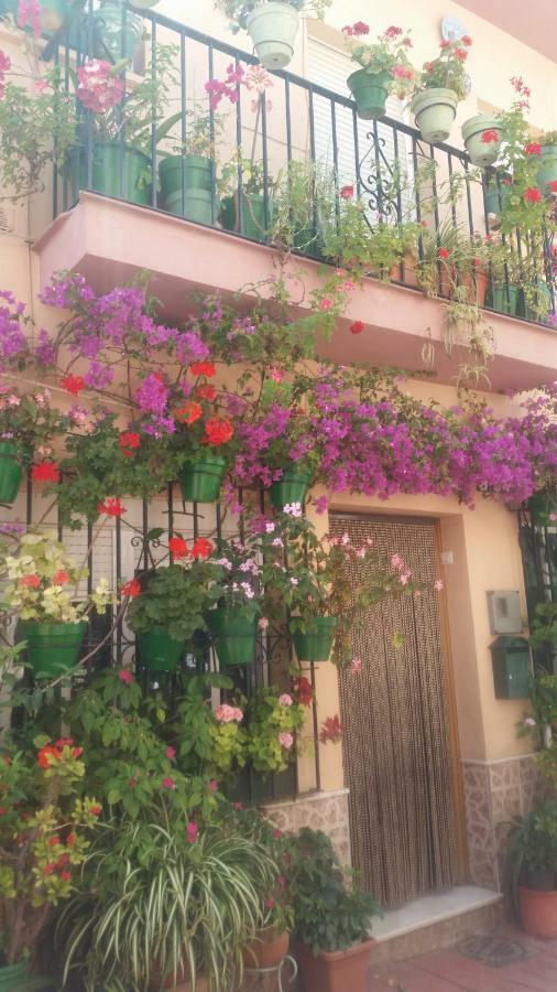 Puerto Deportivo إِستيبونا المظهر الخارجي الصورة